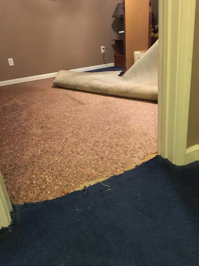 Carpet pad removal revealing water damage during Drying & Dehumidification in Peculiar