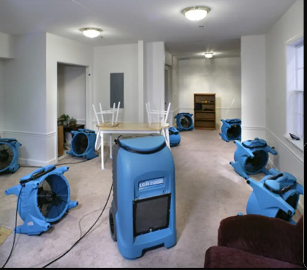 Air movers and dehumidifier setup for Water Extraction & Removal in Peculiar